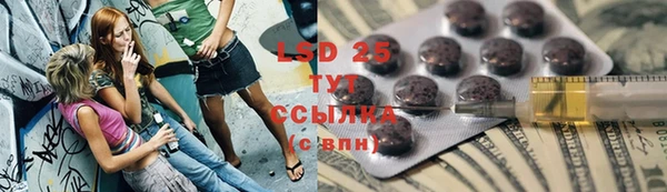 стаф Магас
