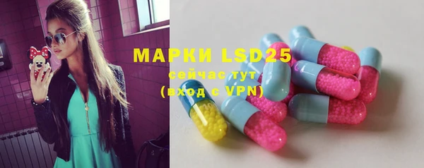 стаф Магас