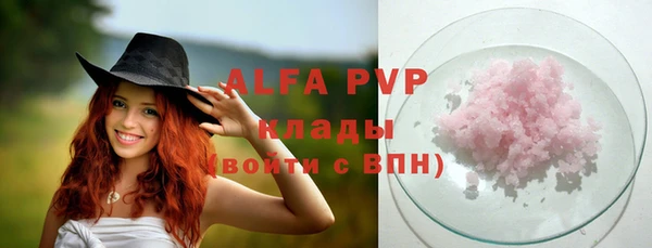 стаф Магас