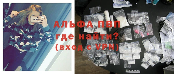 стаф Магас